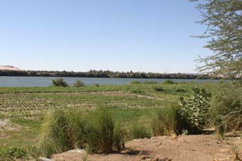 100 meter breit ist der Grünstreifen am Nil