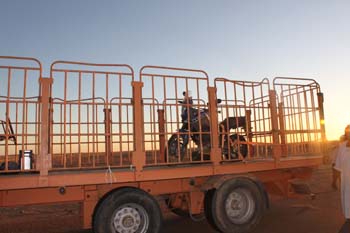 Töff sagt Lass mich hier raus