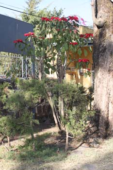 Anlage von der Pension Misrak in Gondar