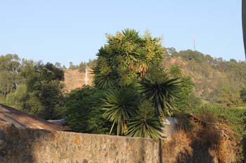 Guten Morgen schönes Afrika