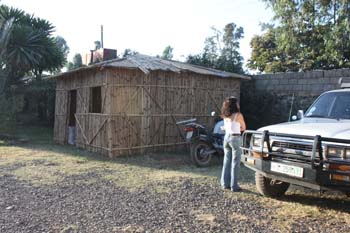 Schönes Morgenkonzert der Vögel