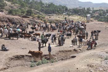 Auch Vieh wird gehandelt