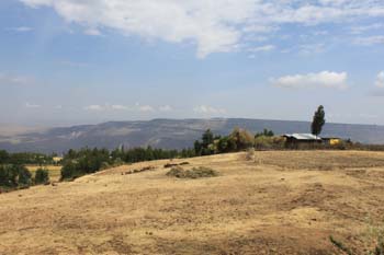 sind wir auf der Alp