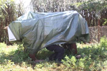 Die Töff's sind Wettergeschützt