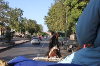 Perspektive aus der Pferdekutsche