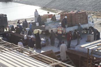 50 Hafenarbeiter, wie im Bienenhaus