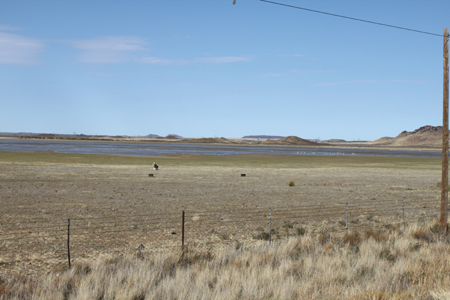 4. Die Flamingos geniessen das Seewasser